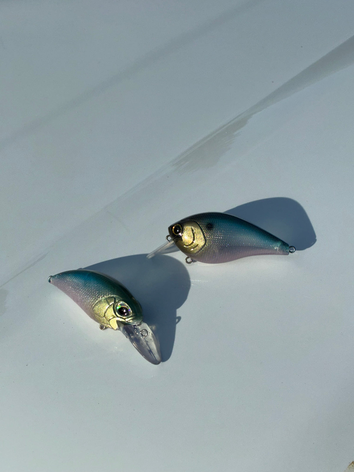 Baits