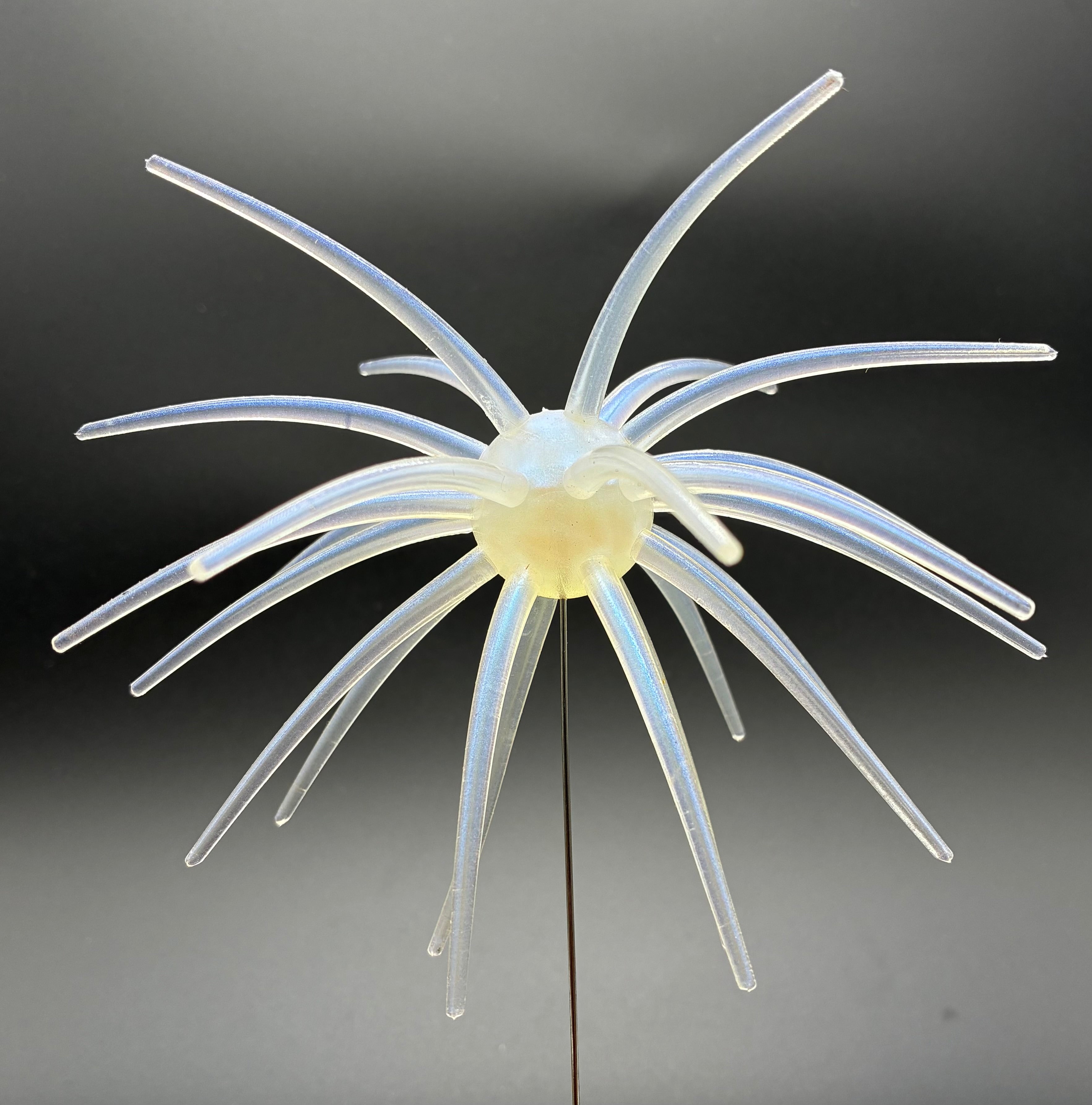 Shap’s Scope Ube 20mm Elastomer Urchin